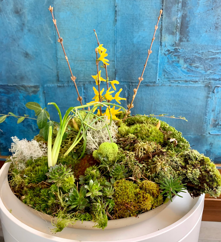 Fresh forced forsythia gives an additional lift to any spring arrangement as seen here in this moss garden. Photo by Foraged Florals.