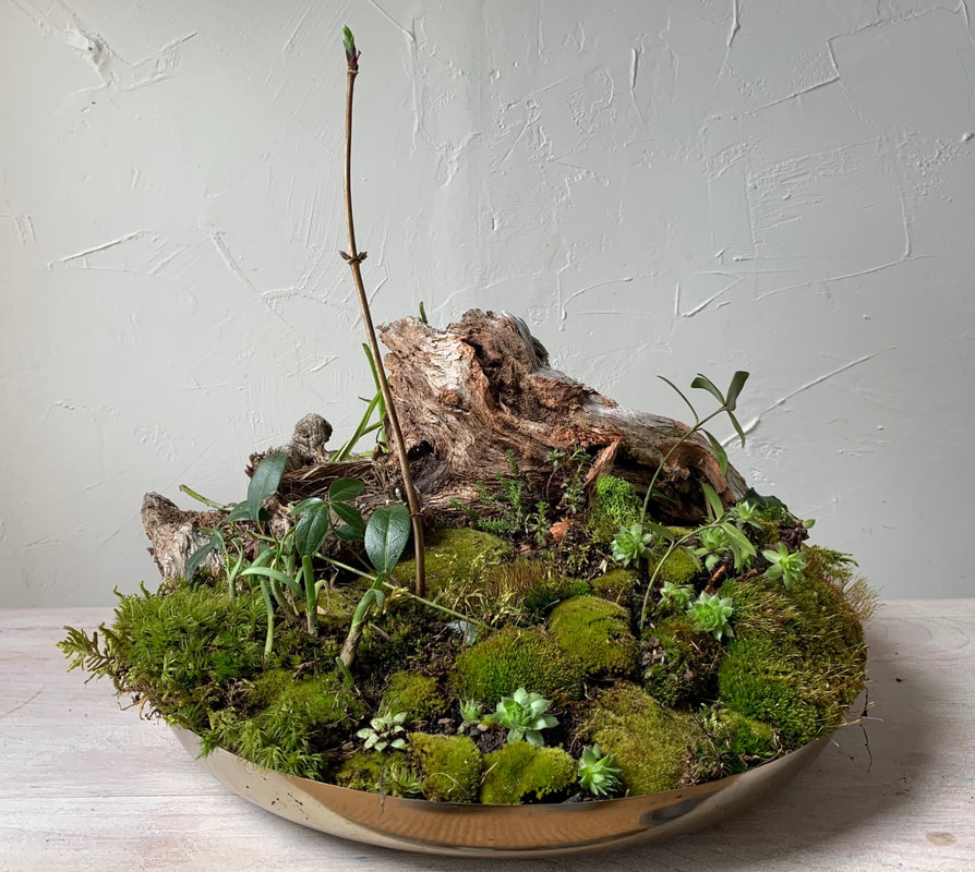 xLarge moss garden designed by Susan Larder of Foraged Florals, New Ross, NS.